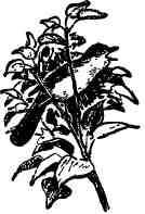 Дмитрий Зуев - Времена года