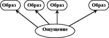 Реальна ли реальность?