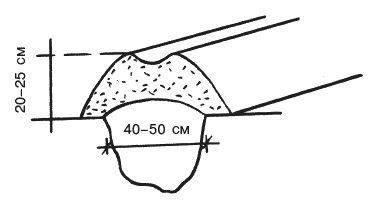 Светлана Ермакова, Светлана Хворостухина - Рассада на вашем участке. Уникальные...