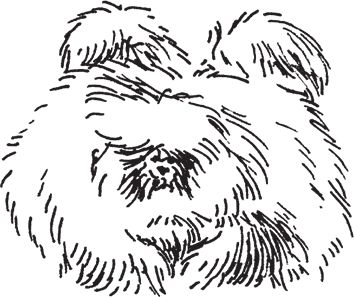 Сергей Кашин - Фермерское хозяйство. Доступное и успешное