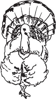 Сергей Кашин - Фермерское хозяйство. Доступное и успешное