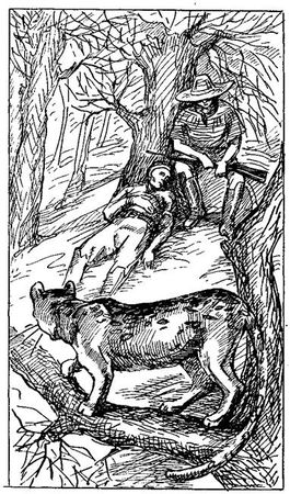 Густав Эмар - Том 20. Фланкер. Новая Бразилия