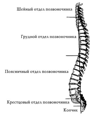 Ирина Калюжнова - Остеохондроз