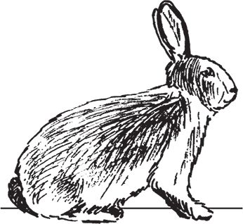 Сергей Кашин - Фермерское хозяйство. Доступное и успешное