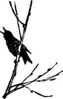 Дмитрий Зуев - Времена года