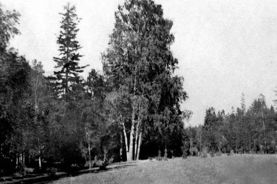 Сергей Глезеров - Удельная. Очерки истории