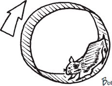 Стив Макдермотт - Как стать законченным неудачником в жизни, в работе и во всем...