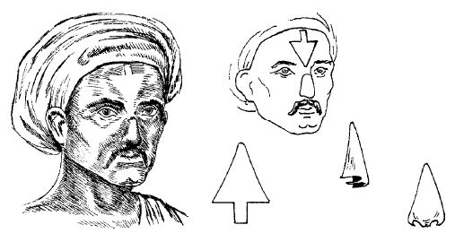 Елена Грицак - Популярная история медицины