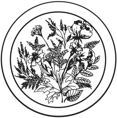 Татьяна Плотникова - Поделки из засушенных цветов и листьев