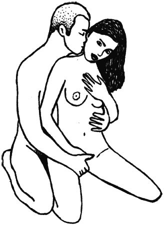 Василий Разгуляев - Домашний сексодрои. Инструкция по применению