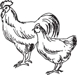 Сергей Кашин - Фермерское хозяйство. Доступное и успешное