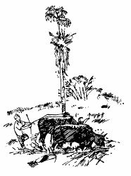 Сунил Джха - Непал: Обычаи и этикет