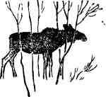 Времена года