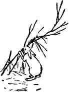 Дмитрий Зуев - Времена года