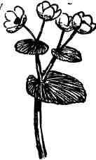 Дмитрий Зуев - Времена года