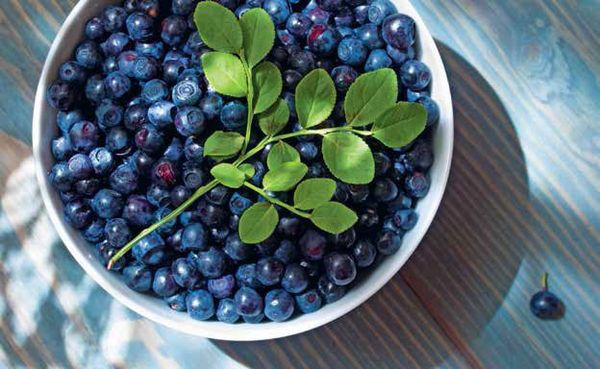 Надежда Бондаренко, Наталья Шинкарёва - Кулинарная энциклопедия. Том 6. Г...