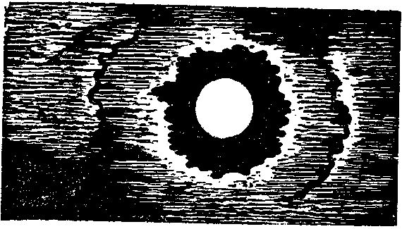 Иван Шамякин - Атланты и кариатиды