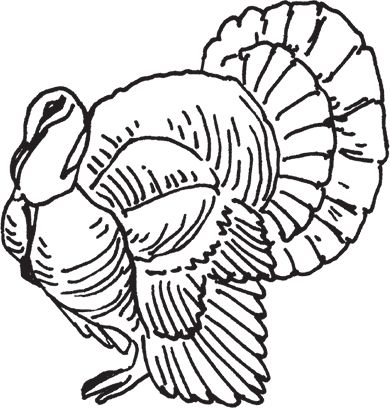 Сергей Кашин - Фермерское хозяйство. Доступное и успешное