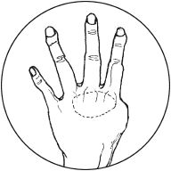 Чой Сунгмо - Азбука самозащиты