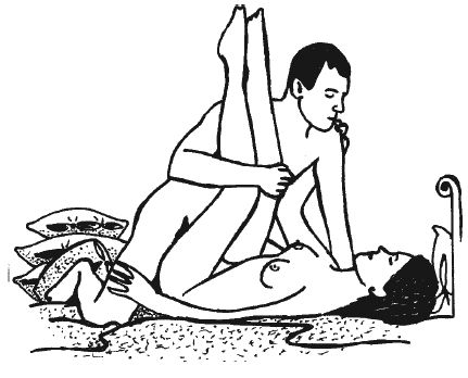 Василий Разгуляев - Домашний сексодрои. Инструкция по применению