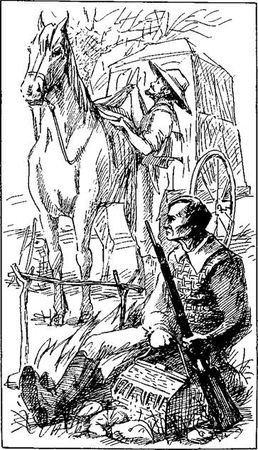 Густав Эмар - Том 20. Фланкер. Новая Бразилия