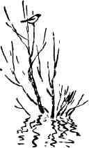 Дмитрий Зуев - Времена года