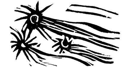 Анна Никольская - Апокалипсис Антона Перчика