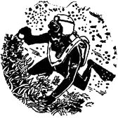 Жак-Ив Кусто, Филипп Диоле - "Калипсо" и кораллы