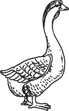 Сергей Кашин - Фермерское хозяйство. Доступное и успешное