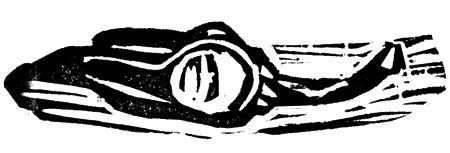 Анна Никольская - Апокалипсис Антона Перчика