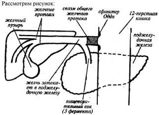 Владимир Гусев - Возвращение в молодость