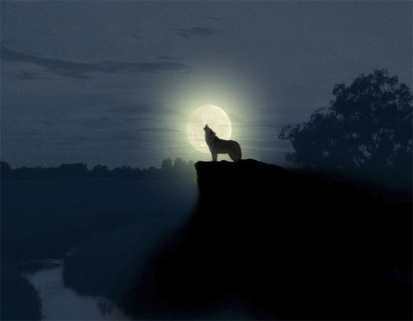 Юлия Арестова - Вечная осень