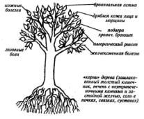 Владимир Гусев - Возвращение в молодость