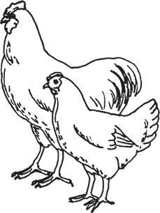 Сергей Кашин - Фермерское хозяйство. Доступное и успешное