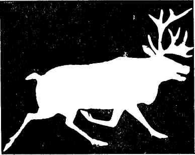 Макс Поляновский, Илья Быков - С букварем у гиляков. Сахалинские дневники...