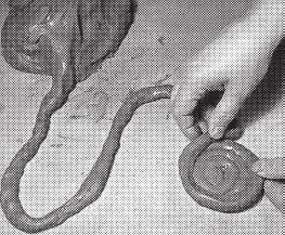 Татьяна Дорошенко - Изделия из керамики