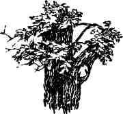 Дмитрий Зуев - Времена года