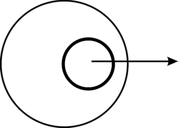 Вячеслав Гусев - Средство от болезней