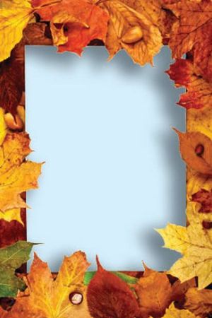 Татьяна Плотникова - Поделки из засушенных цветов и листьев