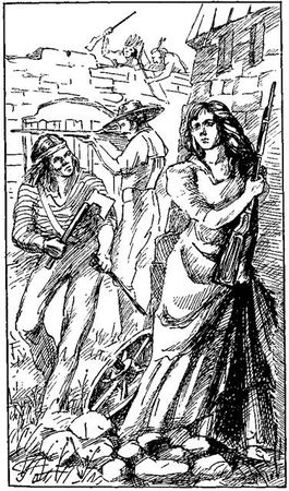 Густав Эмар - Том 20. Фланкер. Новая Бразилия