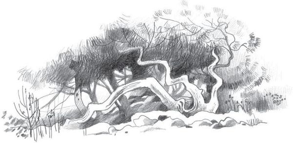 Коллектив авторов - Новый Завет в изложении для детей