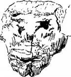 Грэм Хэнкок - Сверхъестественное. Боги и демоны эволюции