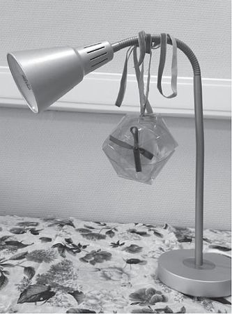 Любовь Янковская - Поделки из пластиковых бутылок