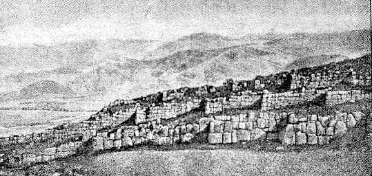 Станислав Вольский - Завоеватели