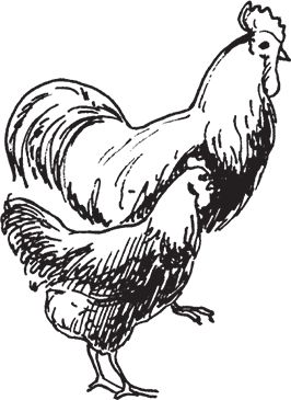 Сергей Кашин - Фермерское хозяйство. Доступное и успешное