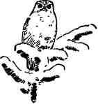 Времена года