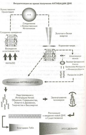 Роберт Джерард - Измени свою ДНК, измени свою жизнь