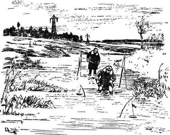 Дмитрий Зуев - Времена года