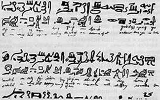 Елена Грицак - Популярная история медицины