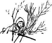 Времена года